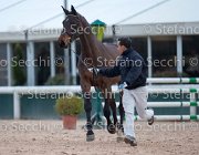 Clintige Tosc Tour2013- S5 1668 : Arezzo, Cavalli d'Italia, Clintige, Toscana Tour 2013, foto di Stefano Secchi ©